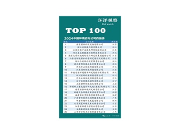 2024中國環(huán)境咨詢公司百強(qiáng)榜榜首